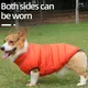 Beiyuan Wholesale Dog Clothes Vendor 2