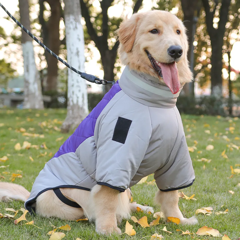 Custom Custom Dog Clothes Custom Dog Clothes Company 2