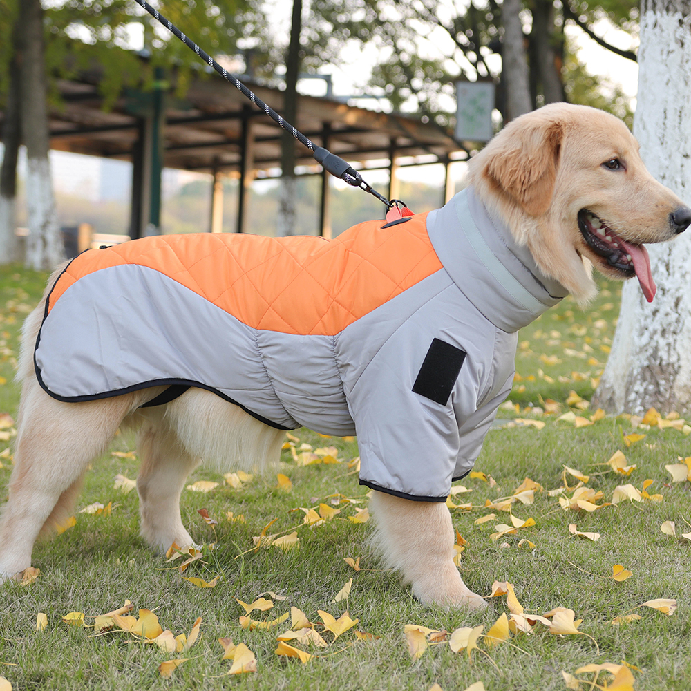 Dog Accessories Manufacturer 5