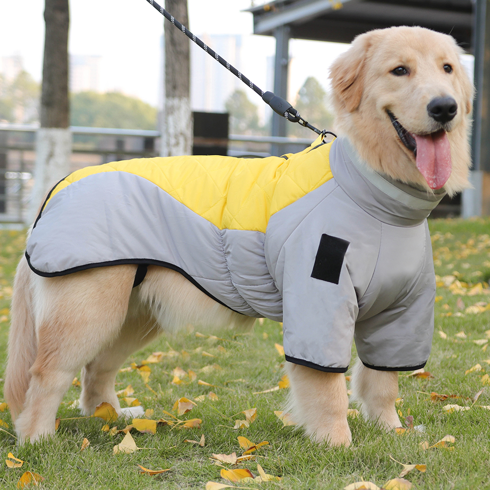 Dog Accessories Manufacturer 4
