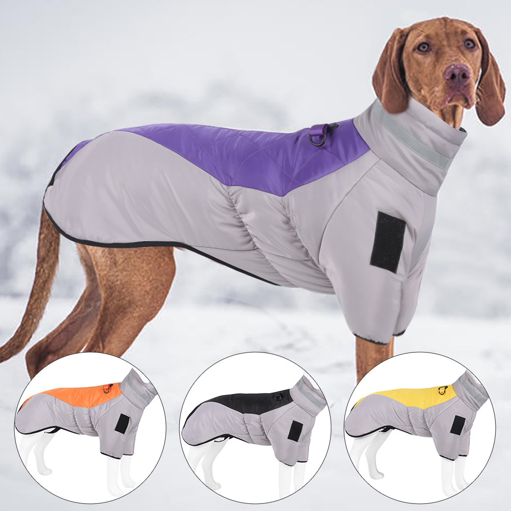 Dog Accessories Manufacturer 3