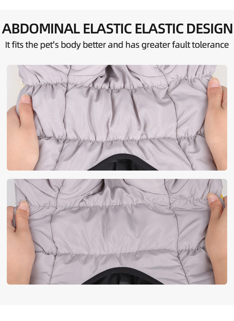 Dog Accessories Manufacturer 8