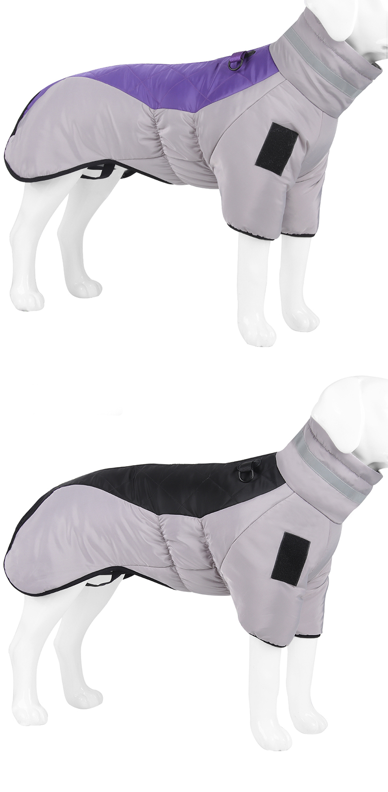 Dog Accessories Manufacturer 7
