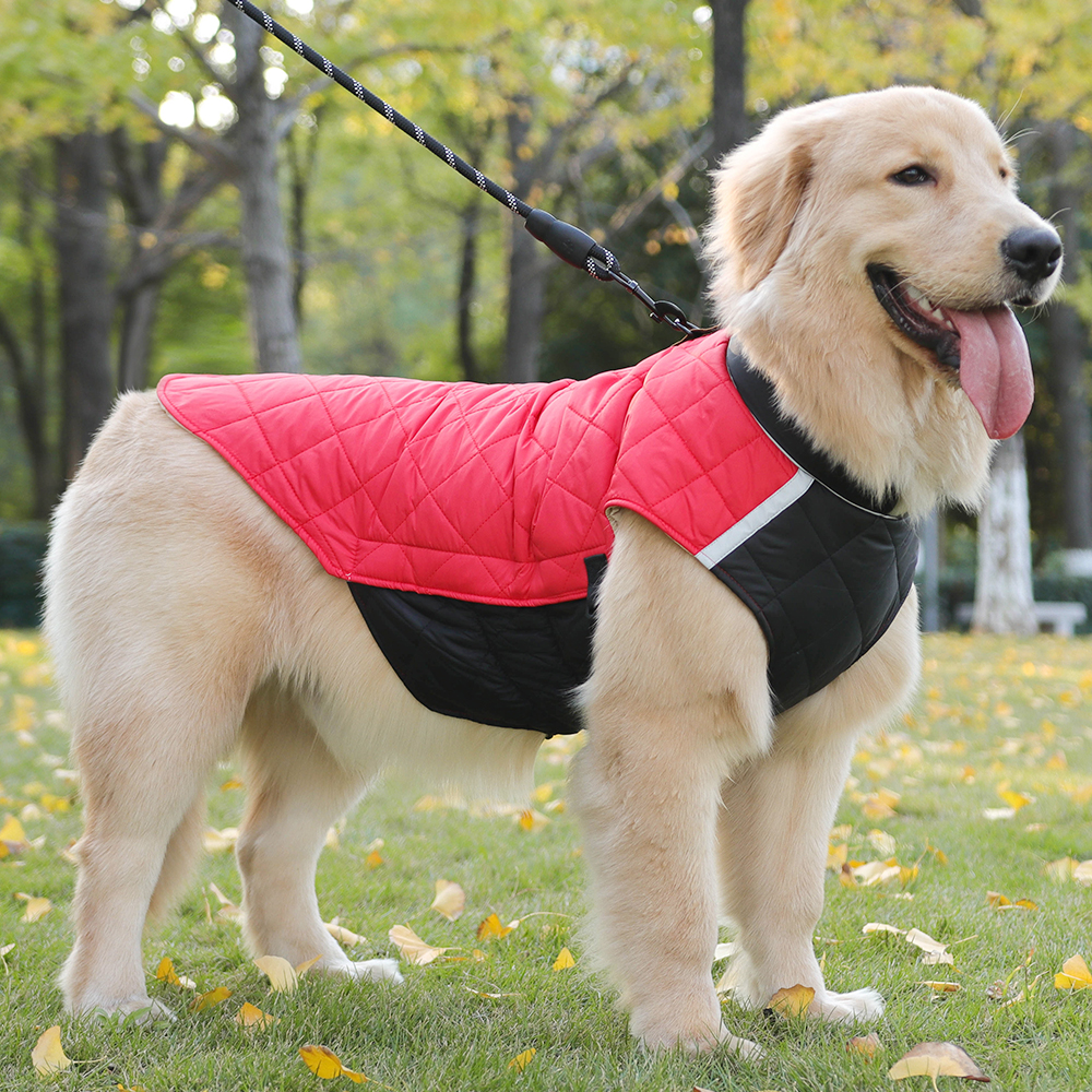 Abrigo de invierno extra grueso para perros grandes | OEM | Grand Pet 4