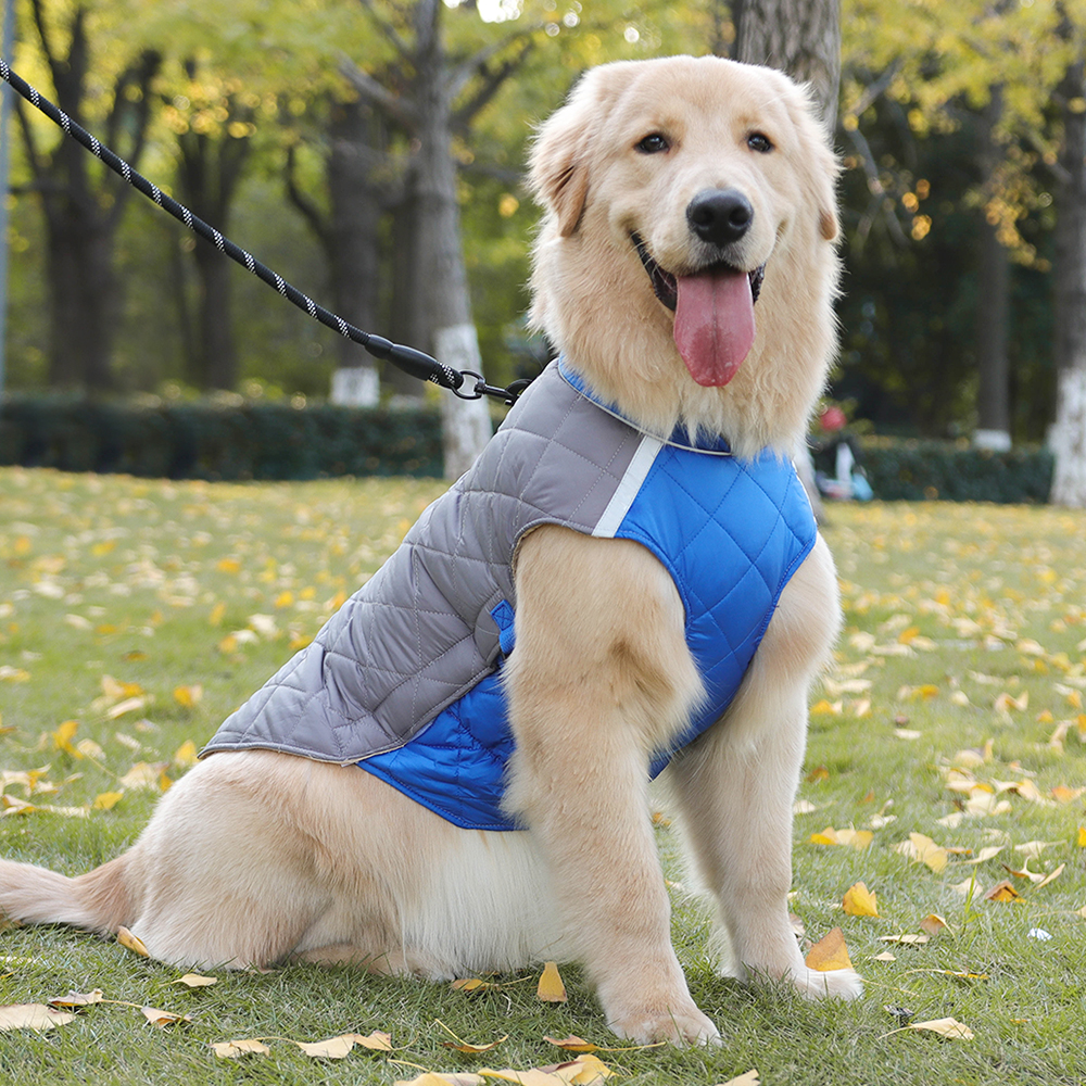 Abrigo de invierno extra grueso para perros grandes | OEM | Grand Pet 2