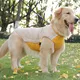 Dog Clothes Factory 5