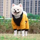 Waterproof Dog Jacket Wholesaler 5