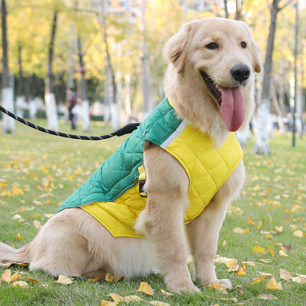 Abrigo de invierno extra grueso para perros grandes | OEM | Grand Pet 1