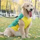 Dog Clothes Factory 7