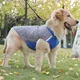Dog Clothes Factory 6