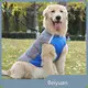 Custom Dog Clothes Factory 1