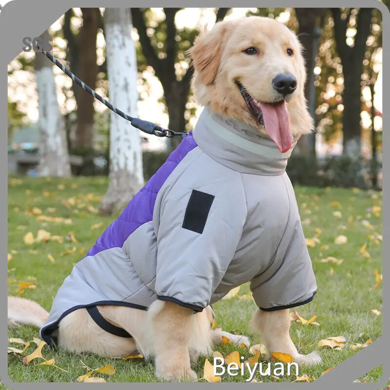 Dog Accessories Manufacturer 1