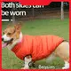 Custom Dog Sweater by Beiyuan 1