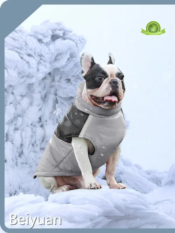 Dog Rain Coat by Beiyuan 1