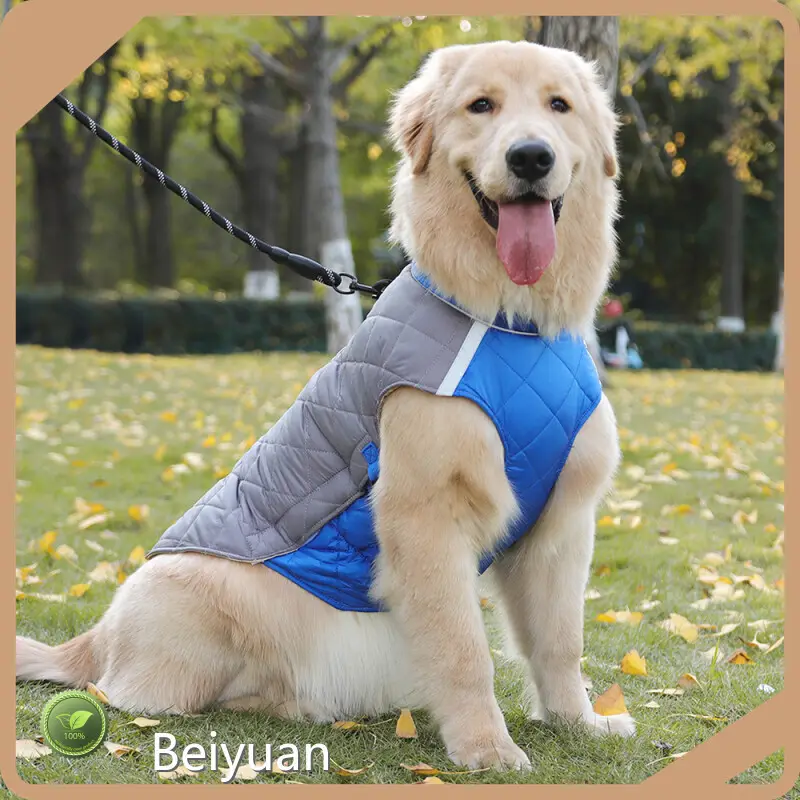 Eco-Friendly Waterproof Dog Coat 1
