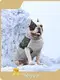 OEM/ODM Custom Dog Sweater Manufacturer 1