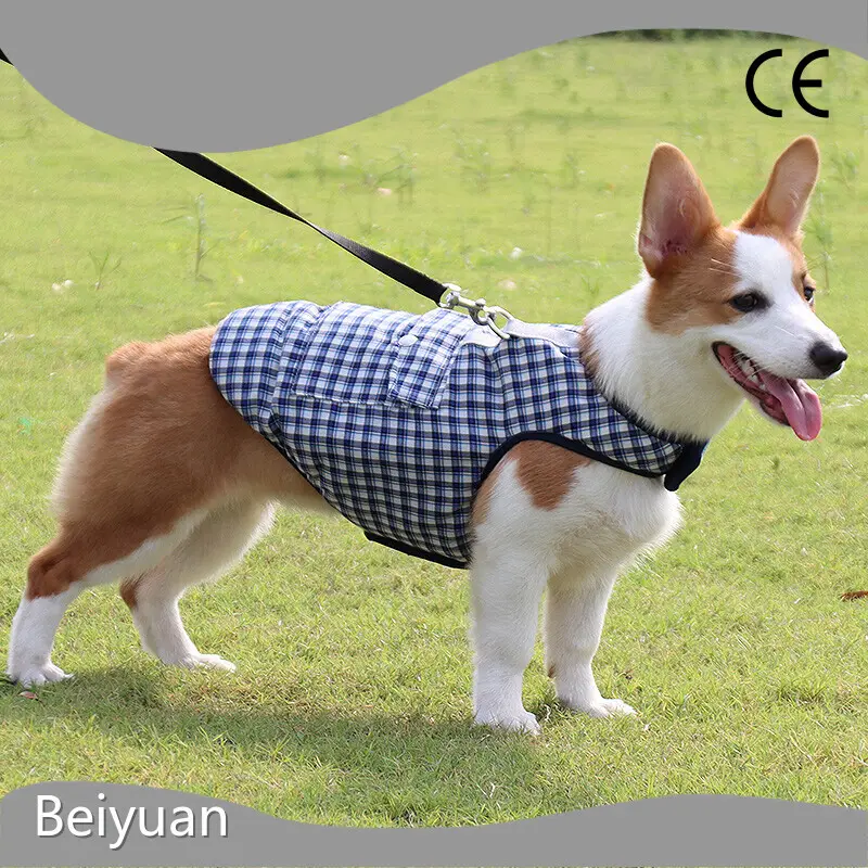 Cat Supplies Wholesale - Beiyuan 1