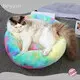 OEM/ODM Pet Supplies Wholesaler 1