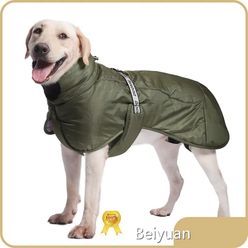 Dog Accessories - - Beiyuan 1