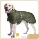 Dog Accessories - - Beiyuan 1