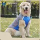 Dog Clothes Factory 1