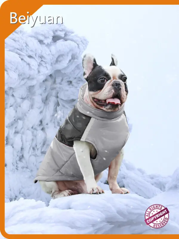 OEM/ODM Custom Dog Sweatshirt Custom Dog Sweatshirt Company 1
