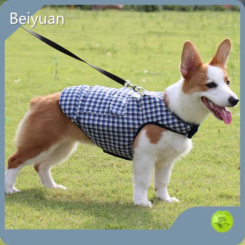 Premium Quality Pet Clothes 1