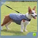 Premium Quality Pet Clothes 1