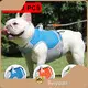 Dog Rain Jacket by Beiyuan 1