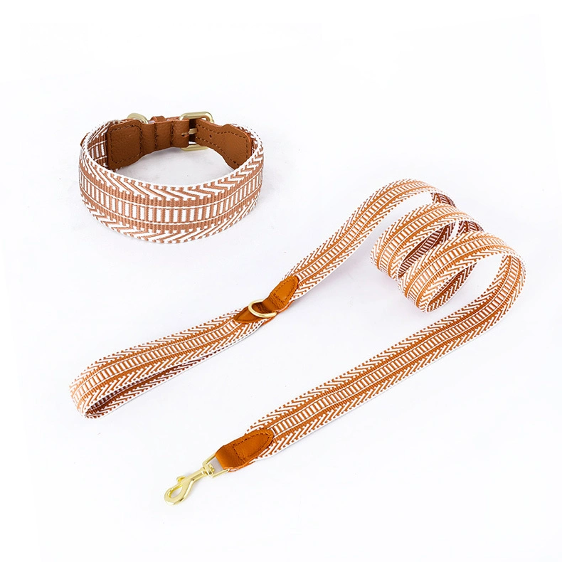 Innovative Design Hundekragen Leine Set 1