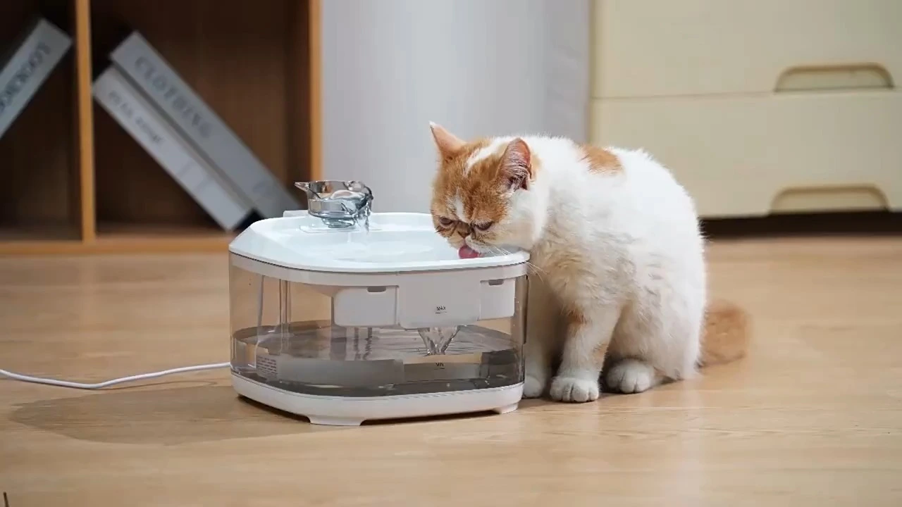 Large capacity 5 litters pet water fountain 1