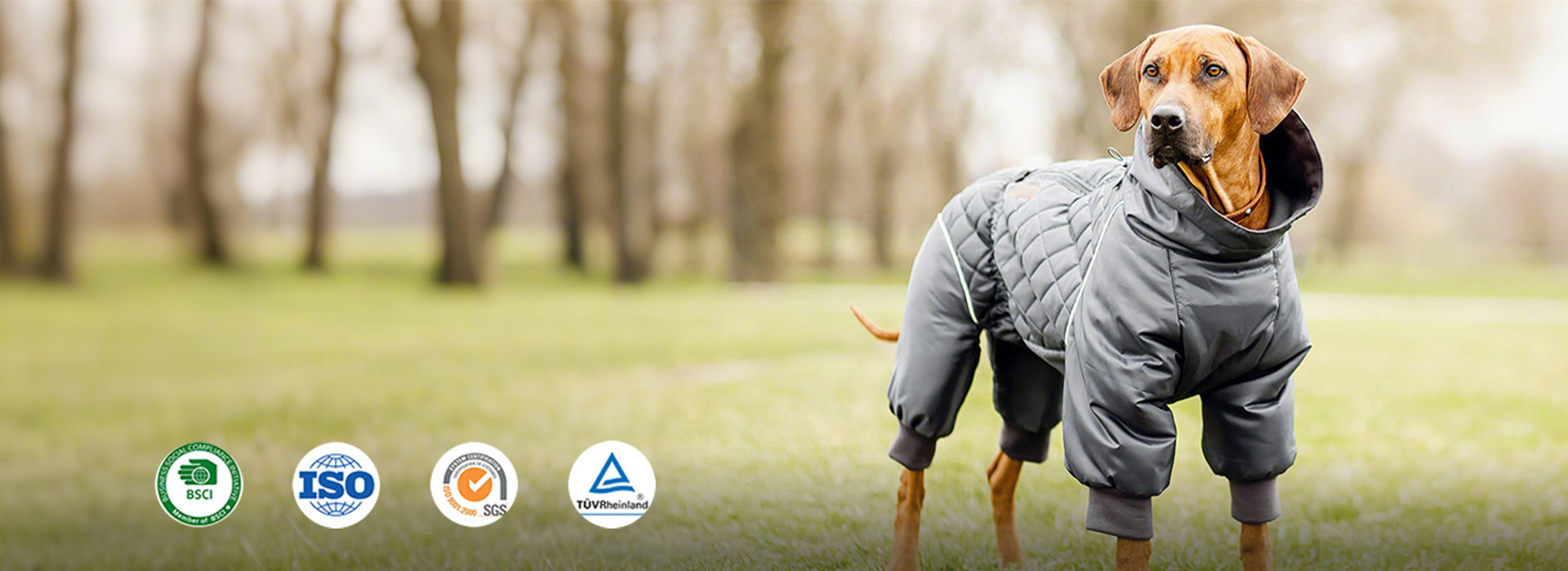 Dog Clothes  Manufacturer