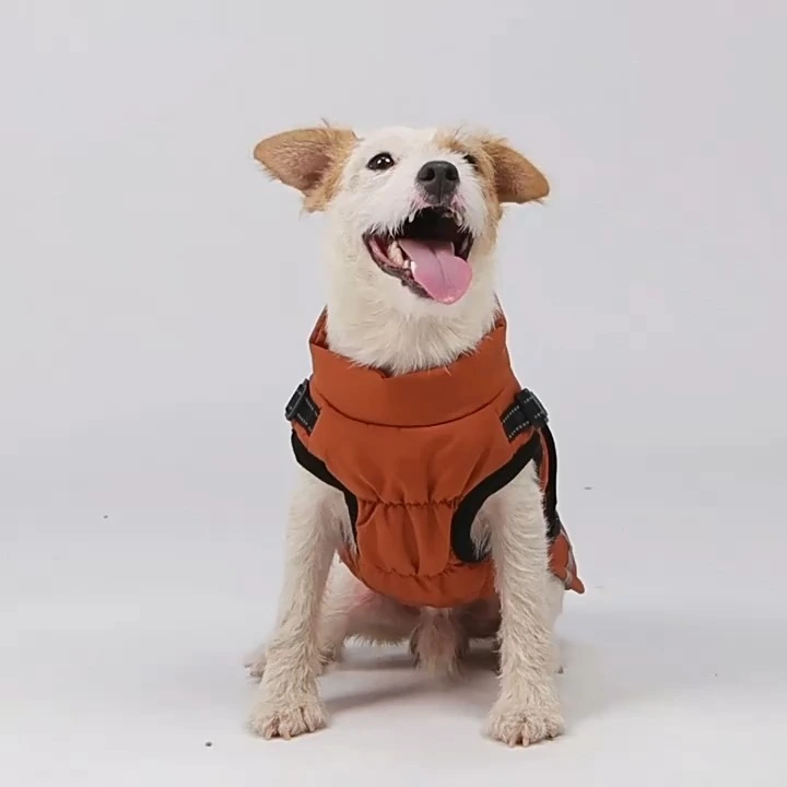 Light weight dog winter coat 1