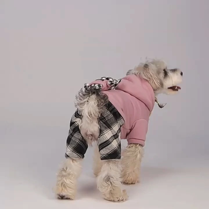 Four legs dog winter coat with deco 1