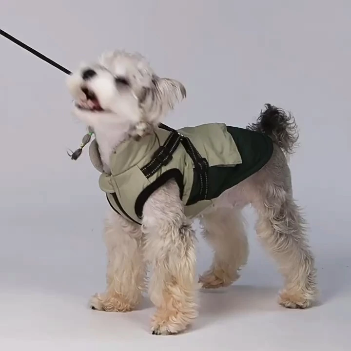 Manteau d&#39;hiver pour chien avec fonction harnais 1