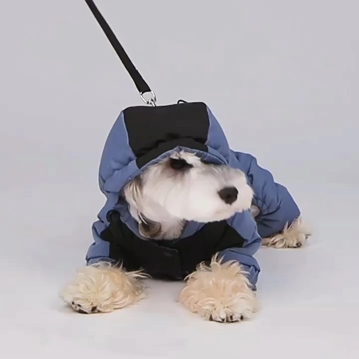 Abrigo de invierno para perros con nuevo estilo de material de grafeno y máxima calidez. 1
