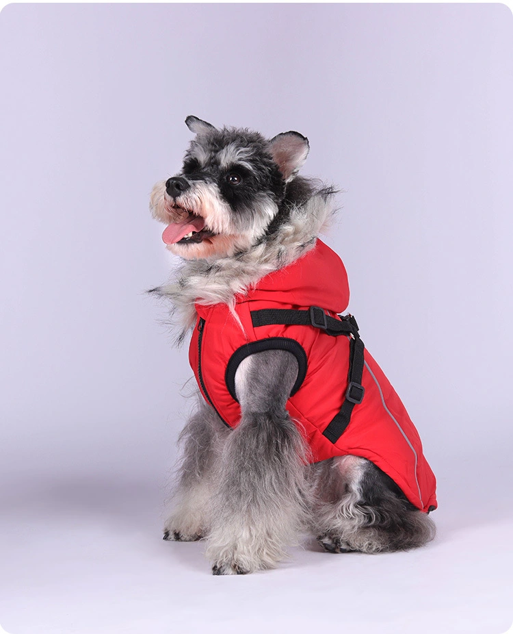 Wasserdichte ultimative Hunde-Winterkleidung 1