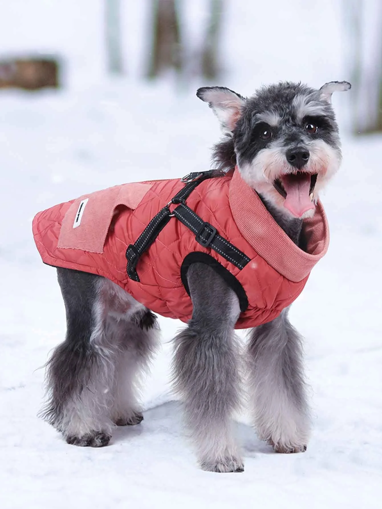 Hundewintermantel mit reflektierendem Geschirr 1