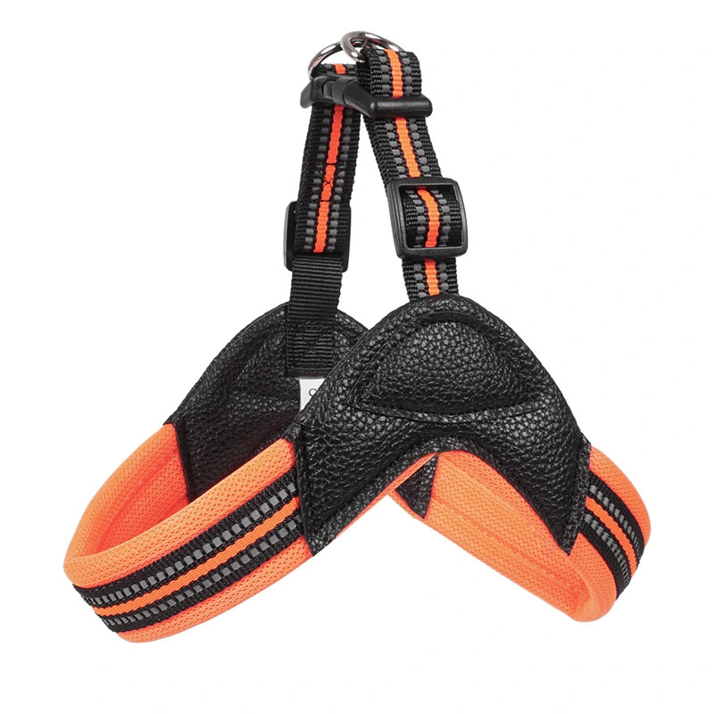 Set aus reflektierendem Hundegeschirr und Leine 1