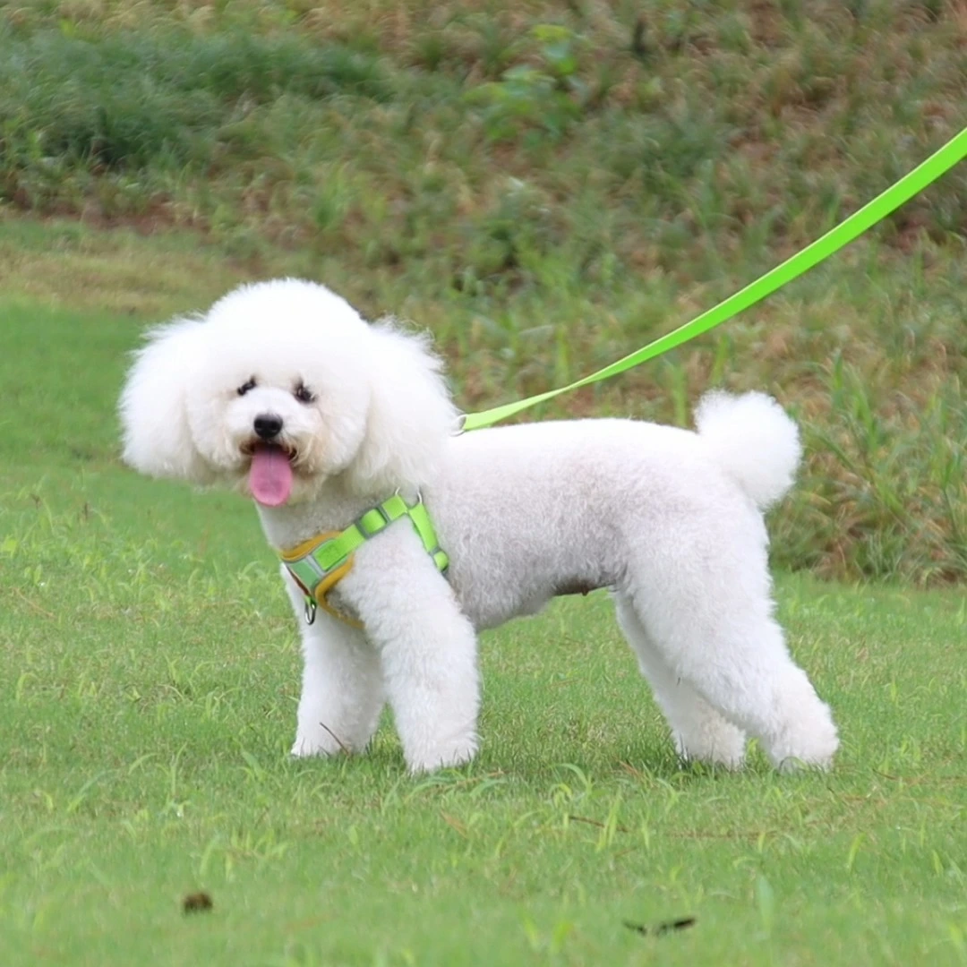 Light reflective dog harness suede air breathable leash harness set for puppies 1