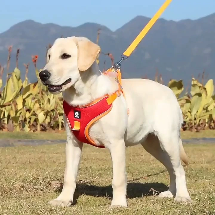Light reflective dog harness suede air breathable leash harness set for medium large dogs 1