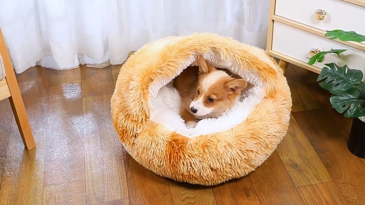 Panier pour chien long et moelleux avec housse et niche pour chat 1