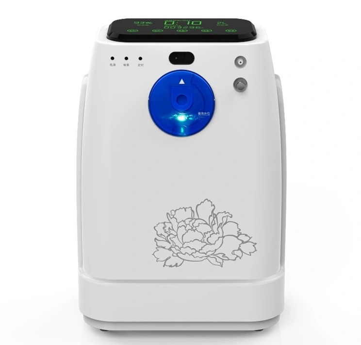 3L large flow portable oxygen concentrator 1