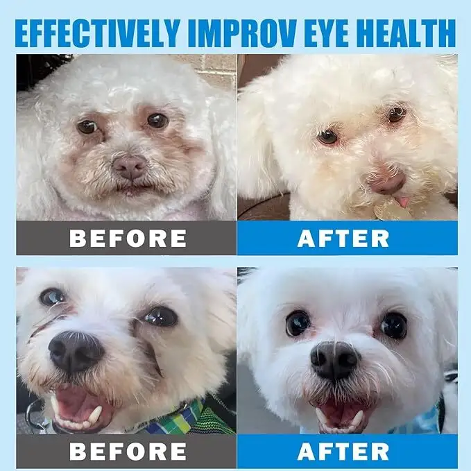 Latest Puppy Paw Wipes Price List 7