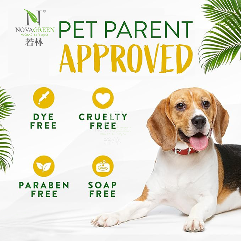 Dog Wipes:How to Choose Safe, Effective <000000> Eco-Friendly Solutions 1