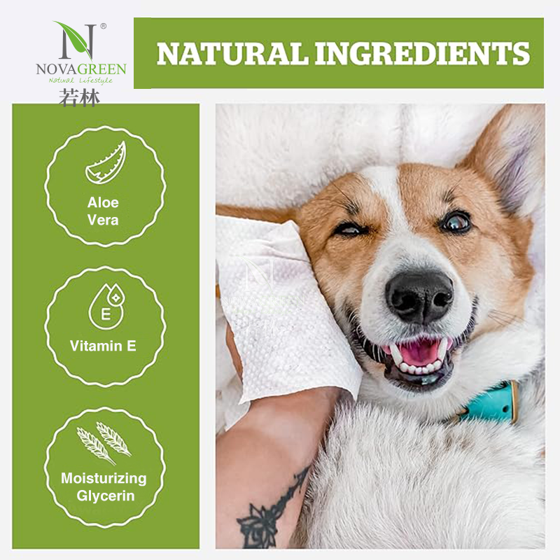 Dog Wipes:How to Choose Safe, Effective <000000> Eco-Friendly Solutions 2