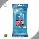 Ruolin Wipes Car Window Wipes for Business 1