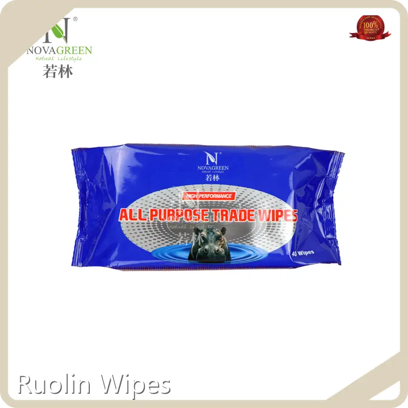 Top Best Household Cleaning Wipes Best Household Cleaning Wipes Company 1