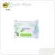 Newwet Wipes Industry 1