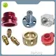 Custom Brass Machining by Jiarong 1